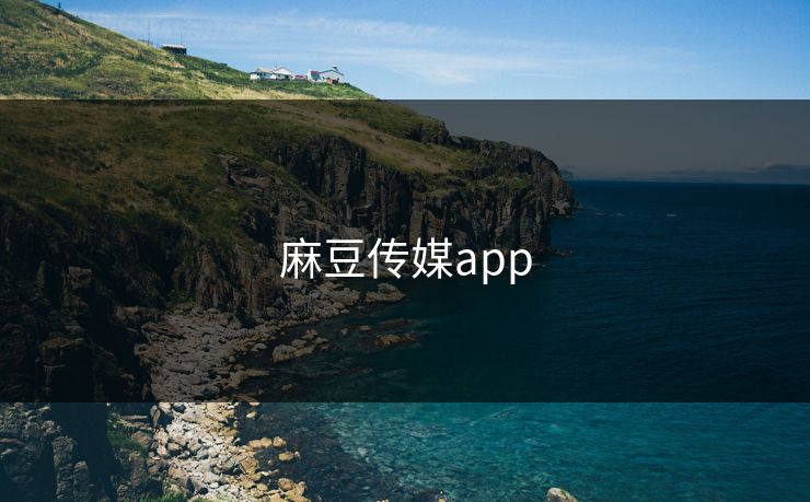 麻豆传媒app