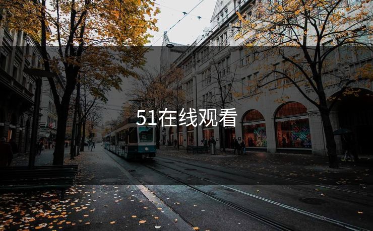 51在线观看