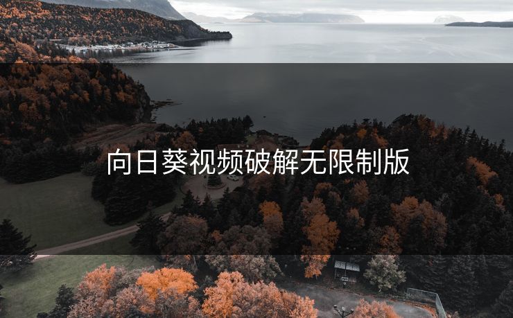 向日葵视频破解无限制版