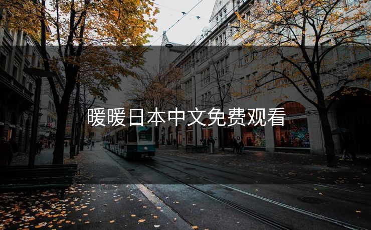 暖暖日本中文免费观看