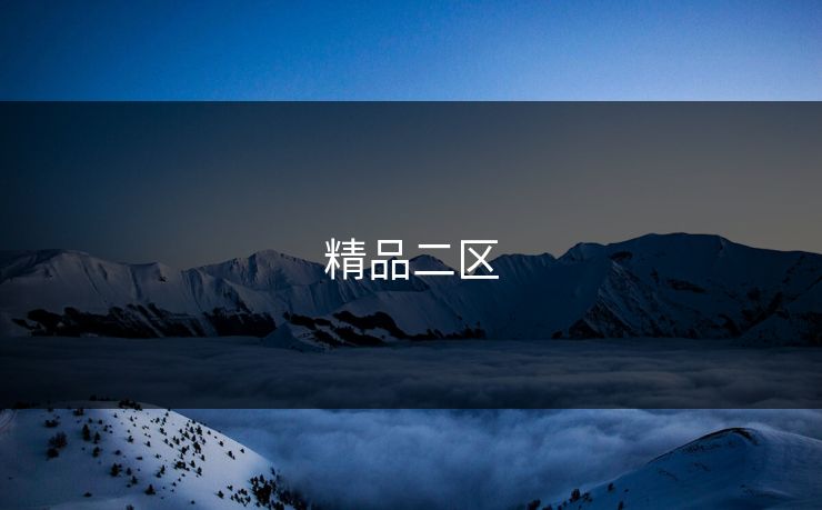 精品二区