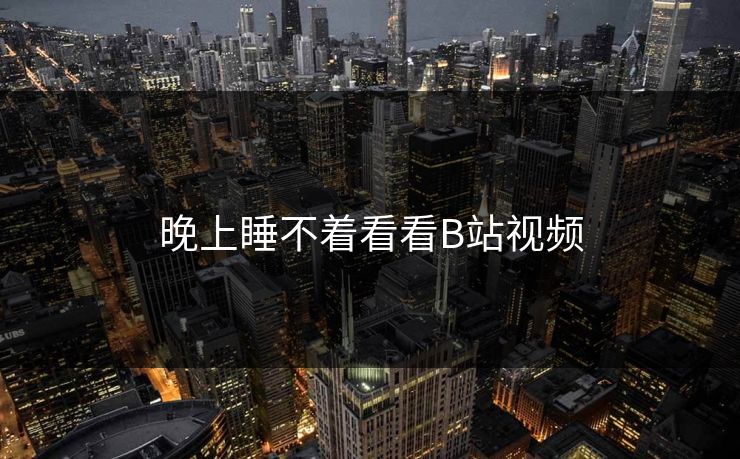 晚上睡不着看看B站视频
