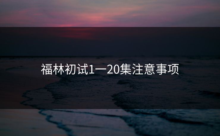 福林初试1一20集注意事项