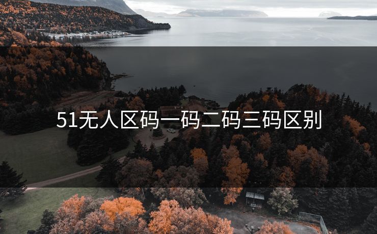 51无人区码一码二码三码区别